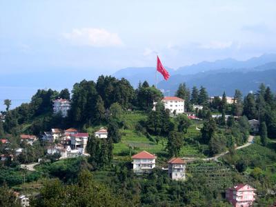Newarise Hotel