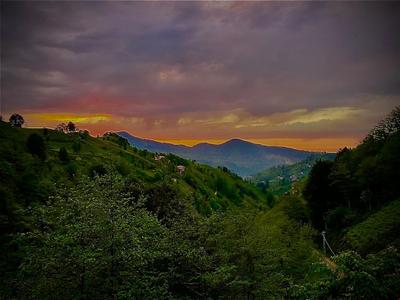 Suarma Bungalov