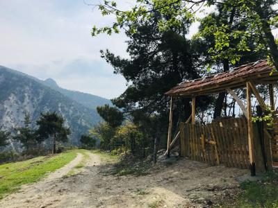 Kervan Dağ Evi