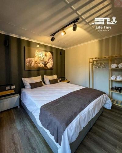 Sapanca Life Tiny Dere Kenarı