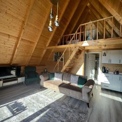 Sapanca Arma Bungalov