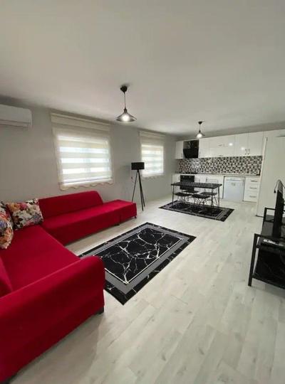 Sapanca Alâ House
