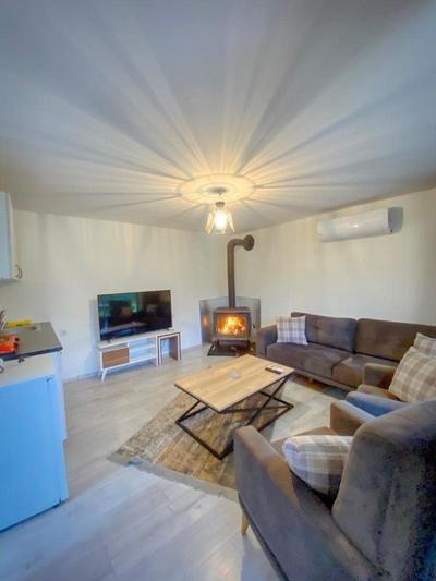 Sapanca Lot5 Tiny house