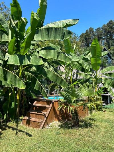 Sapanca Tinmin Bungalow