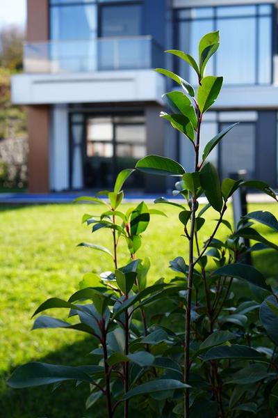 9 İnci Villaları Sapanca
