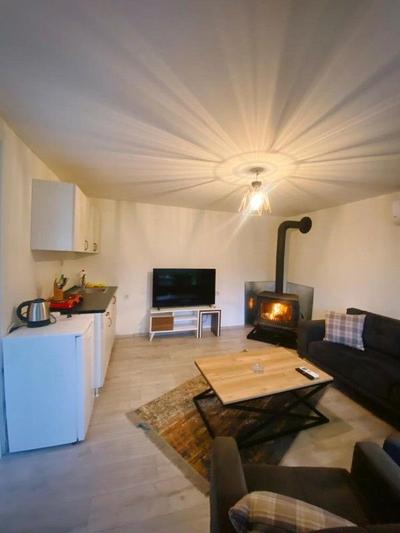 Sapanca Lot5 Tiny house