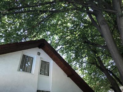 Bimola Villa