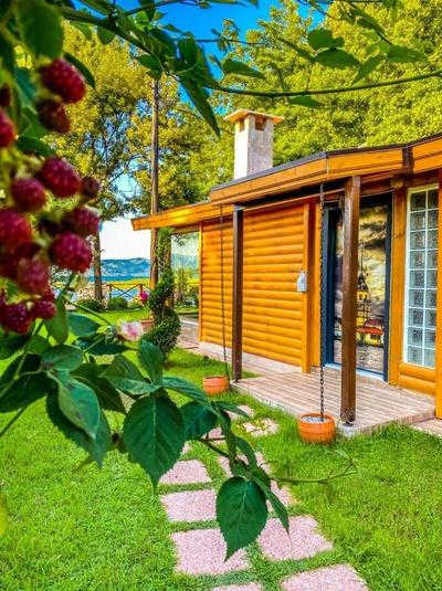 Oktay Golden House