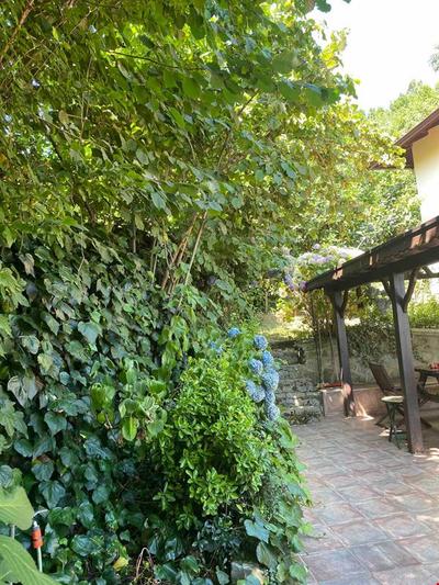 Villa Grande Albero Sapanca