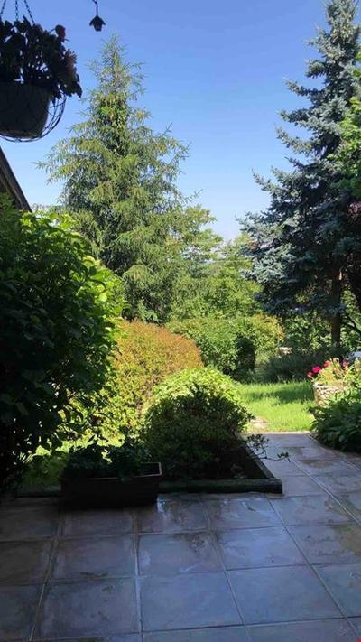 Villa Grande Albero Sapanca