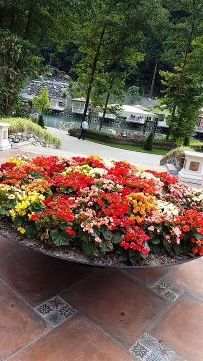 My Home Sapanca