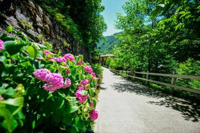Naturköy Bungalov