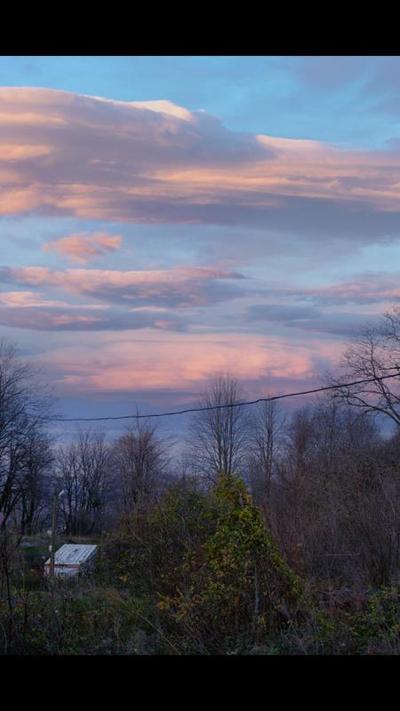 Sapanca Saklı Cennet Bungalov