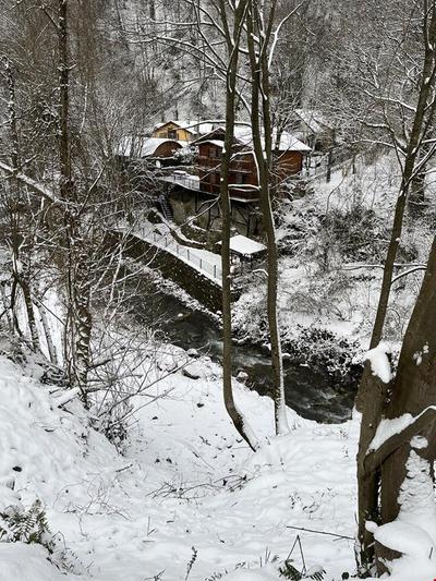 Sapanca In Nature