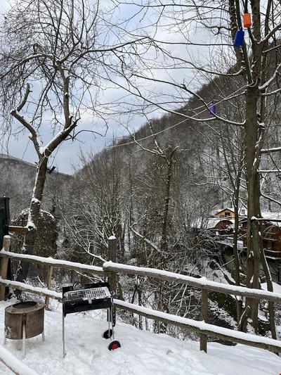Sapanca In Nature