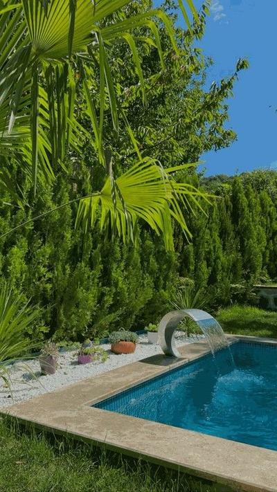 Sapanca Dogh Bungalov