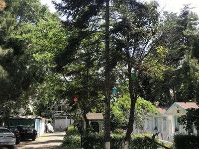 Poyraz Resort