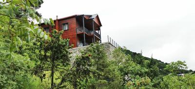 Forest Mansion