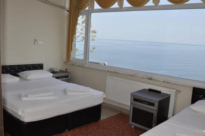 Livio Otel