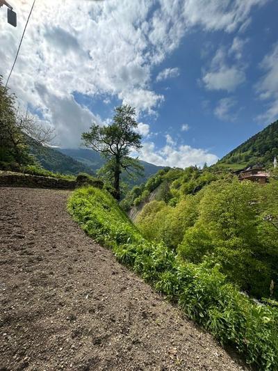 Uçan Pansiyon