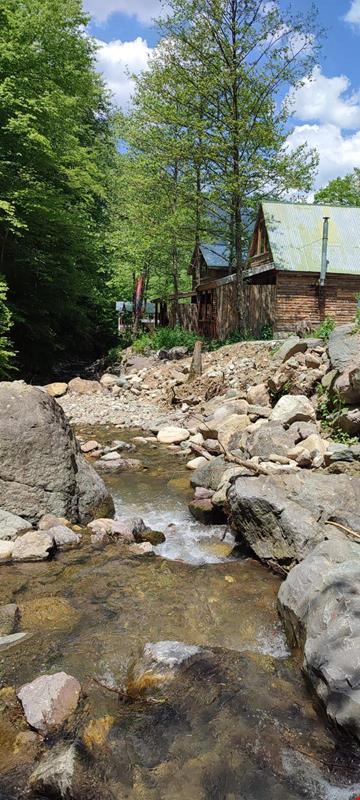 Hamsikoy Bungalove