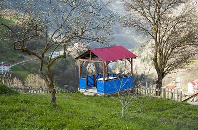 Hamsiköy Cennet Bahçesi Otel & Restaurant
