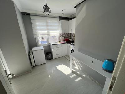 Nokta Suite Apart