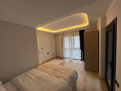 Purple Vip Suite