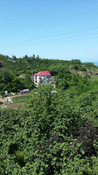 Villa Hallaç