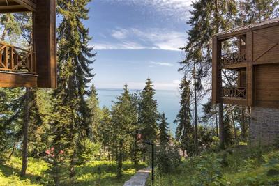 Hancıoğlu Çamburnu Orman Evleri Bungalow & Hotel