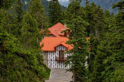 Foleya Mountain Resort