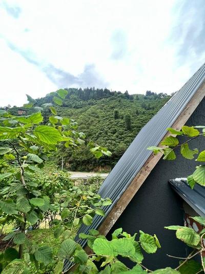 Ayvaz House Bungalow In The Greenery