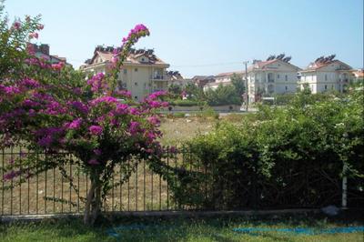 Grand Vizon