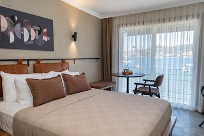 BD Suites