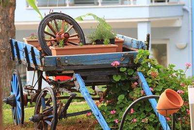 Daisy Garden Resort
