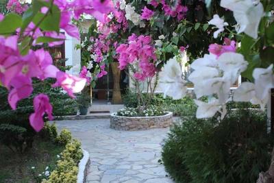 Ekincik Beach Hotel