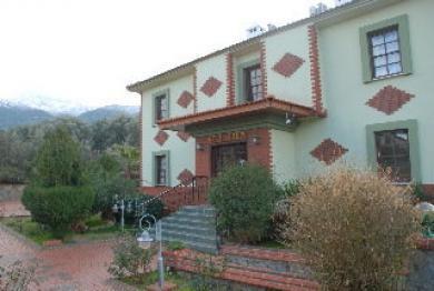 Seden