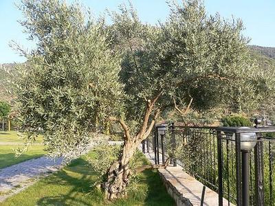 Natureland Efes