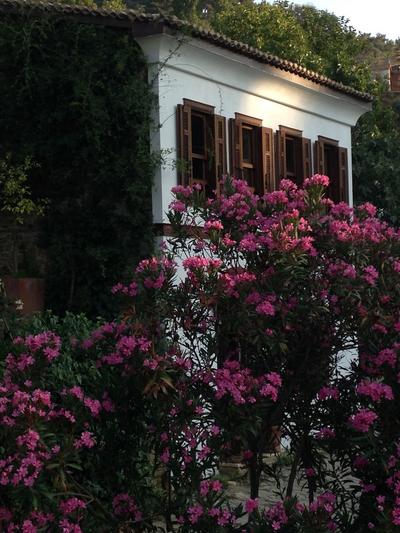 Terrace Houses Sirince - Fig; Olive & Grapevine
