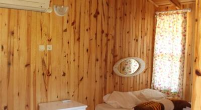 Jungle Bells Hostel