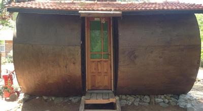 Jungle Bells Hostel