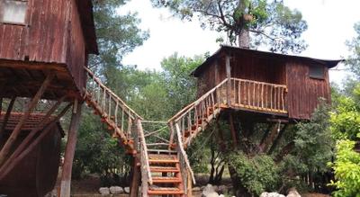 Jungle Bells Hostel