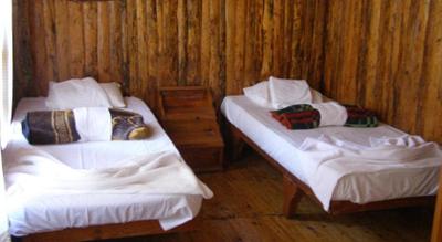 Jungle Bells Hostel