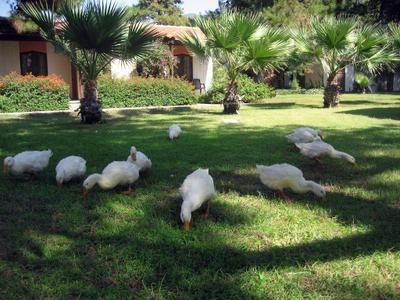 Denizati Holiday Village