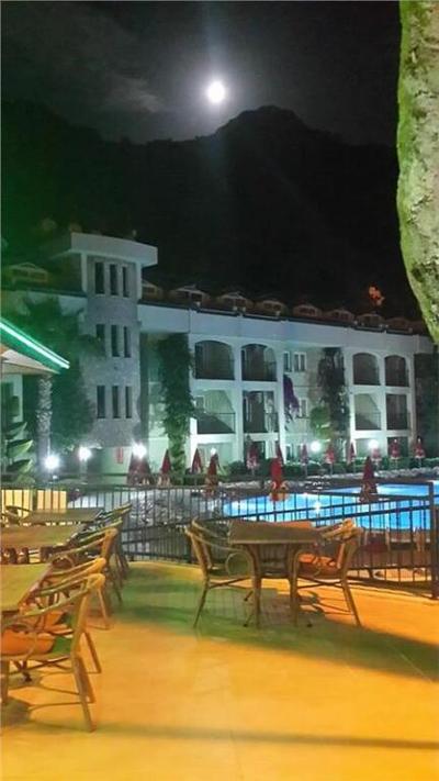 Palm Garden Apartments