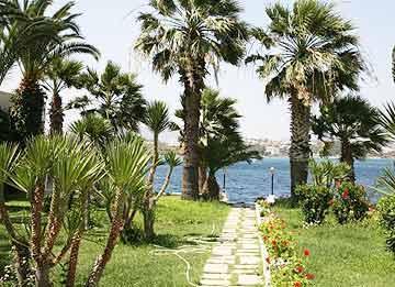 Club Dorya