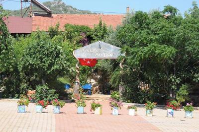 Telemenin Evi