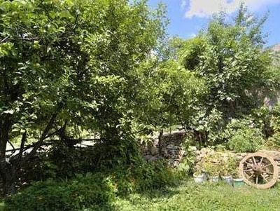 Safranbolu Çamlica Konagi