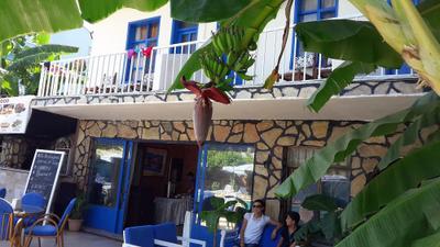 Garden Alis Hotel