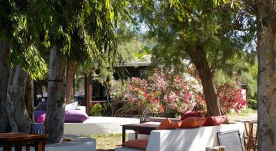 Arriba Apart Restaurant